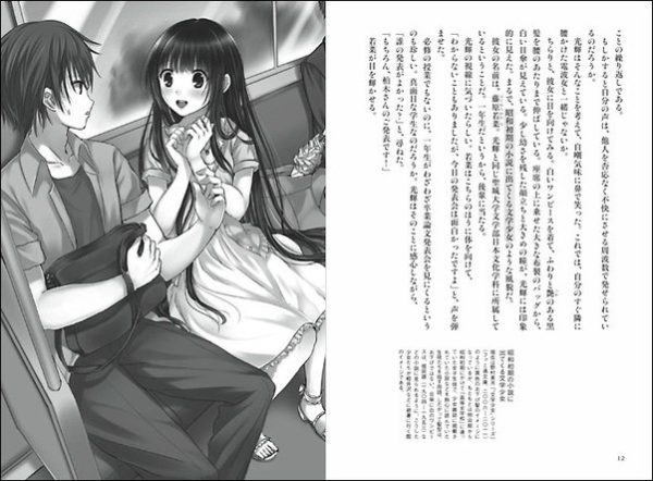 Un Light Novel et un Web Novel, c'est quoi ? - Les créas de Rose
