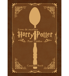 harry potter, poudlard, sorcier, magie, recette, recipe, livre, book, cuisine, gateau, desert, bierreaubeurre, chocogrenouille, cadeaux