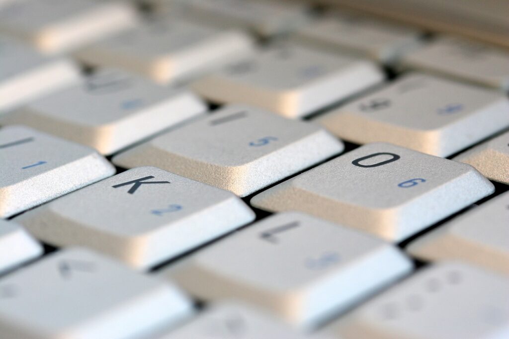 2026, 2025, année, bilan, book, bouquin, calendrier, Covid, échouer, festival, light novel, livre, patron, Peluche, recette