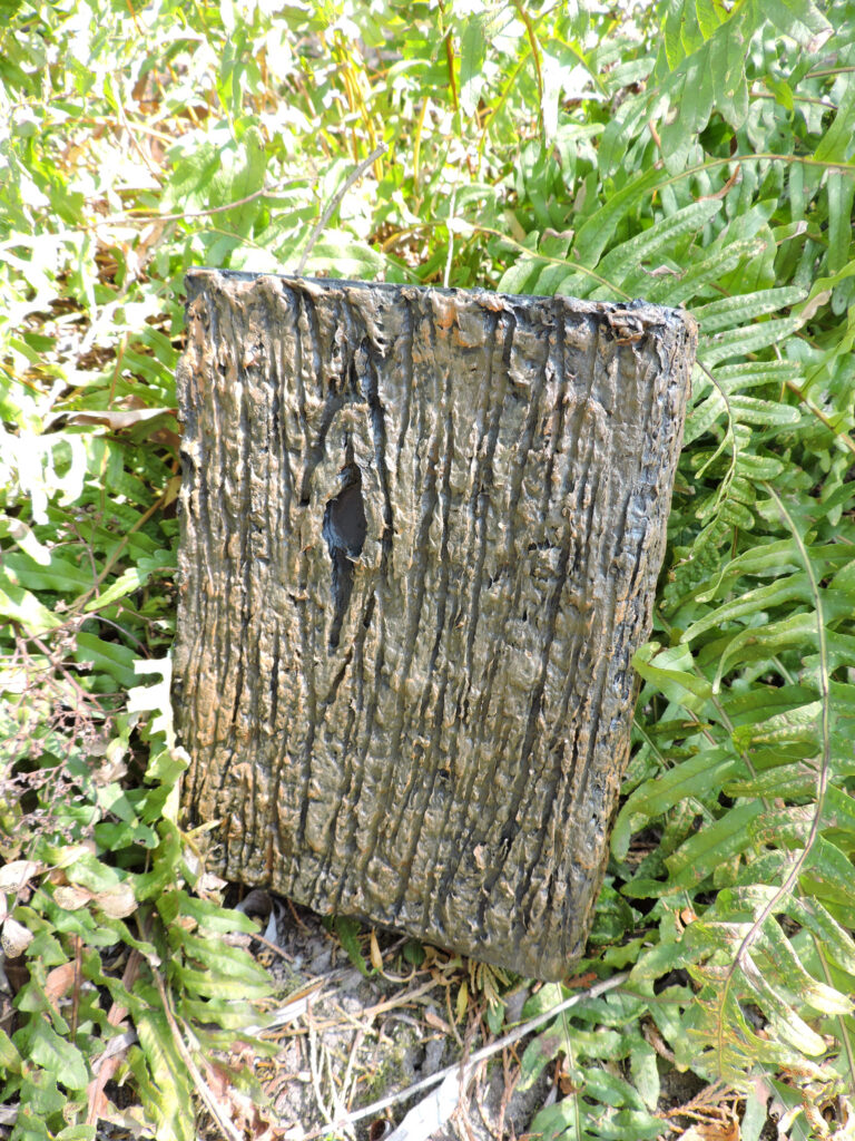 Grimoire, papier mâché, dragon, Lovecraft, horreur, livre, druide, foret, végétation, projet, décoration,