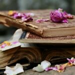 Monstre, créature, fantaisie, fantastique, combat, écrivain, liste, livre, mot, roman, légende, fantasy,